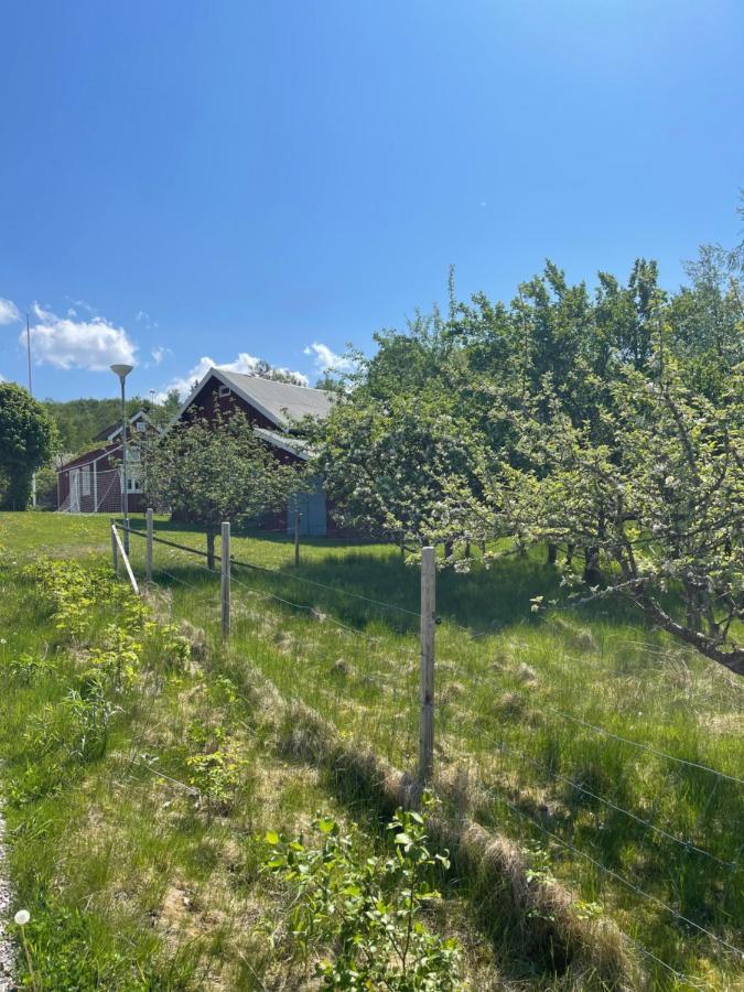 Lyckan - Minihus I Lantlig Miljoe 乌尔里瑟港 外观 照片